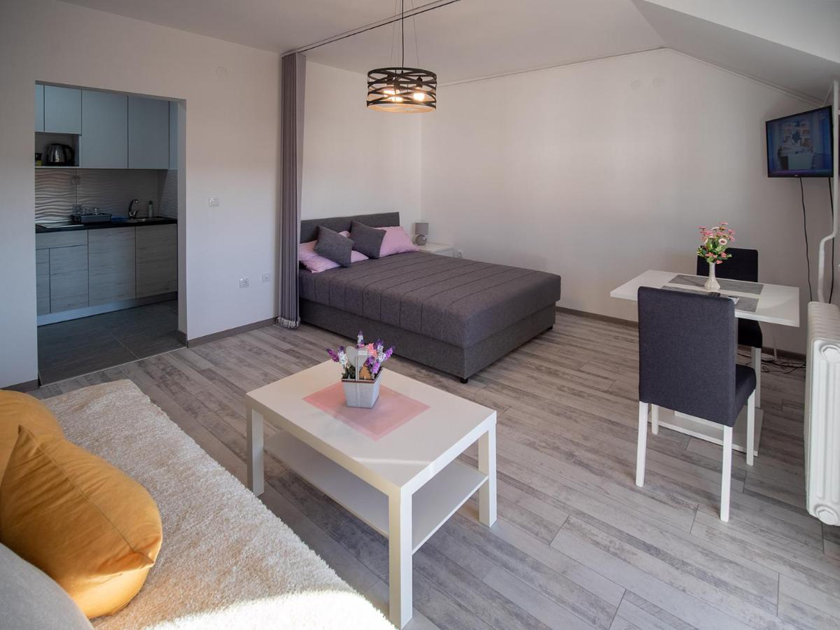 Apartman Sara Lejlighed Novi Sad Eksteriør billede